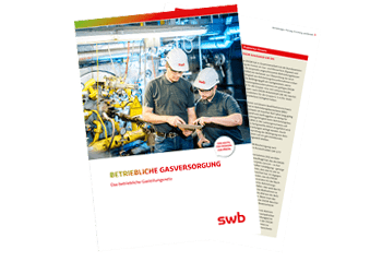 swb Leitfaden: Betriebliches Gasleitungsnetz
