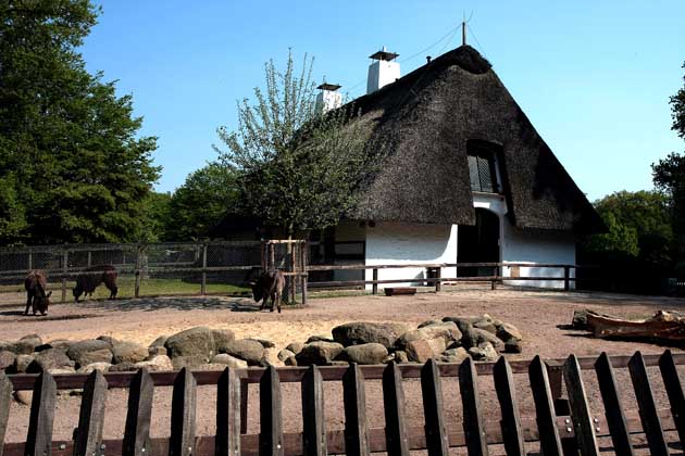 Das umzäunte Tiergehege mit Reetdachhaus im Bremer Bürgerpark.