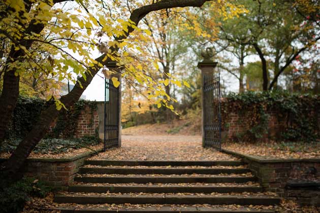 Laubbedeckte Stufen, die zu einem Tor in einen Park führen.