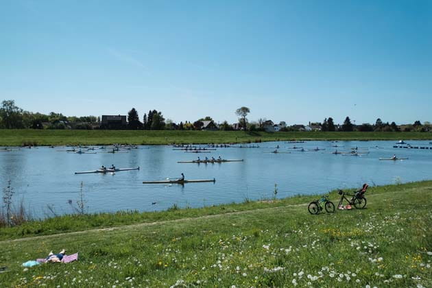 Eine Blumenwiese am Ufer des Werdersees mit im Vordergrund, hinten stehen zwei Fahrräder und man blickt auf das Wasser, auf dem ein Ruderwettkampf stattfindet