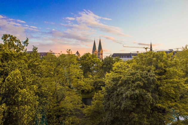 Bäume einer Parkanlage mit den Turmspitzen des Bremer Doms im Hintergrund.