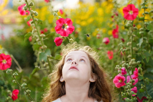 Ein kleines Mädchen sitzt in einer roten Blumenwiese