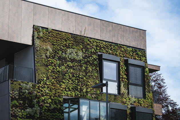 Vertikaler Garten - bepflanzte Fassade an einem modernen Bürogebäude 