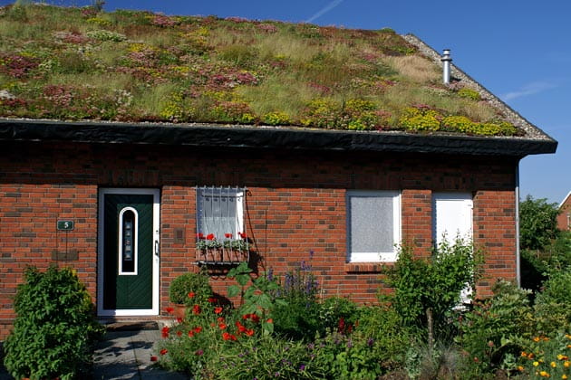 Mit einer Wildblumenwiese begrüntes Dach eines Backsteinhauses