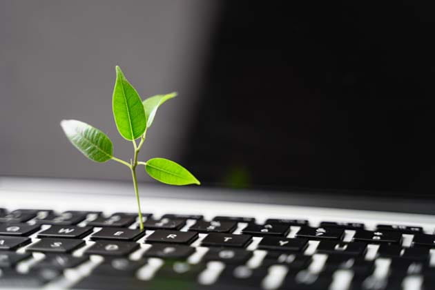 Kleine Pflanze mit vier Blättern wächst aus der Tastatur eines Laptops.