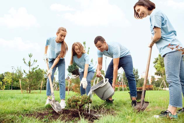 Ein junger Mann und drei junge Frauen mit hellblauen T-Shirts setzen einen Baum in die Erde und gießen ihn.