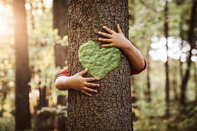 Ein Baum, auf dessen Rinde sich ein grünes Moosherz befindet, wird von hinten von einem Kind umarmt 