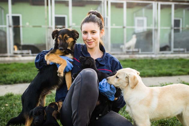 Eine junge Frau sitzt von mehreren Hunden umgeben und mit einem Hund im Arm vor den Käfigen eines Tierheims.
