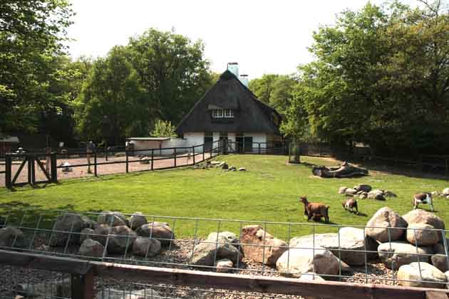 Die Tiergehege sowie das reetbedachte Haus des Bremer Bürgerparks mit Steinen, Gras und Bäumen.