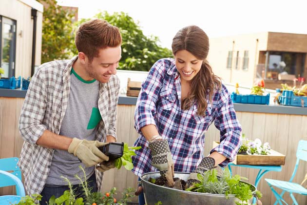 Nahaufnahme eines jungen Mannes und einer brünetten Frau mit Gartenhandschuhen, die lächelnd in einen Kübel Pflanzen einsetzen