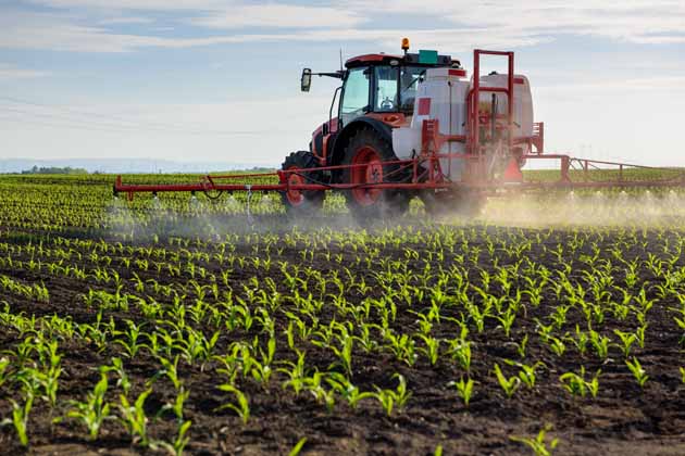 Ein Traktor versprüht Pestizide über ein Feld, das mit grünen Pflanzen bestückt ist.