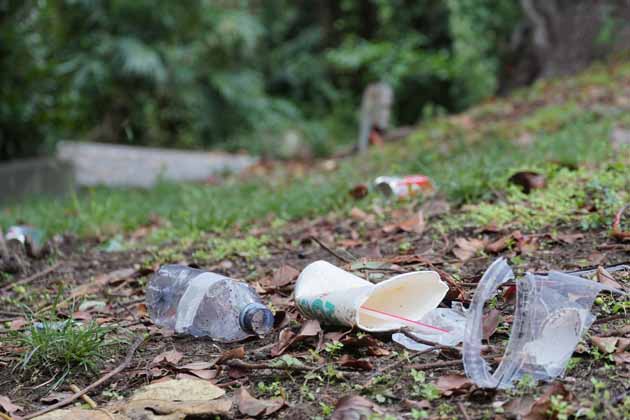 Plastikflaschen und Pappbecher liegen als Müll im Wald verteilt.