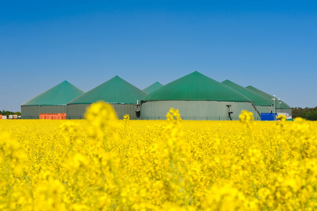 Die gewölbten Dächer einer Biogasanlage mit einem gelben Rapsfeld davor