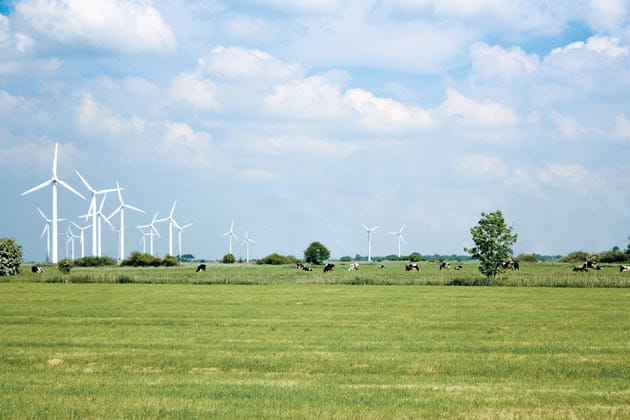 Im Hintergrund von grünen Wiesen stehen einige Kühe und Windkraftanlagen.