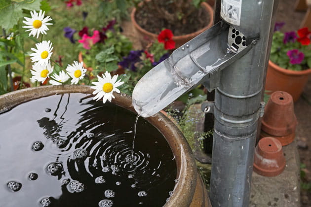 Nahaufnahme einer vollen Regentonne in einem Garten, in die aus einem Fallrohr Wasser läuft und die von Blumen umgeben ist