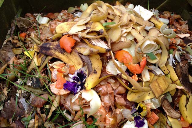 Organische Essensreste beziehungsweise Biomüll auf einem Komposthaufen