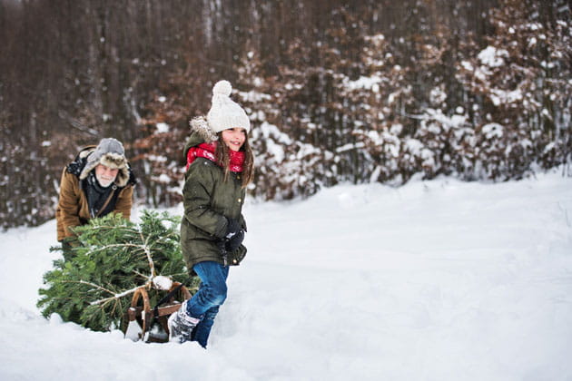 Ein Mädchen zieht einen Schlitten mit einem gefällten Tannenbaum, der Großvater schiebt den Schlitten durch den Schnee