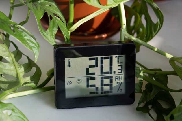 Ein schwarzes Thermometer mit Grad- und Luftfeuchtigkeitsangabe steht zwischen Pflanzen.