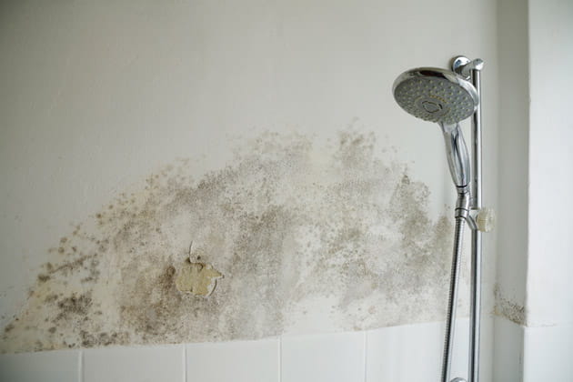 Schimmelbildung und Feuchteschäden an der Wand im Badezimmer direkt neben der Dusche
