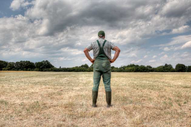 Ein Bauer mit grüner Arbeitslatzhose steht auf einem Feld und beobachtet die aufziehenden Wolken.