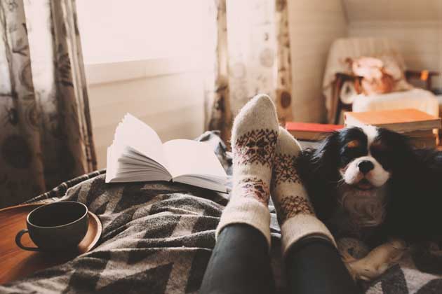 Füße mit Wollsocken, ein Hund, ein Buch und eine Tasse befinden sich an der Fußseite des Bettes in einem gemütlichen Zimmer.
