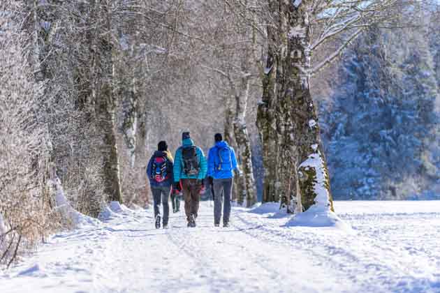 Drei Freunde machen entlang eines Waldes einen Spaziergang durch die schneebedeckte Natur.