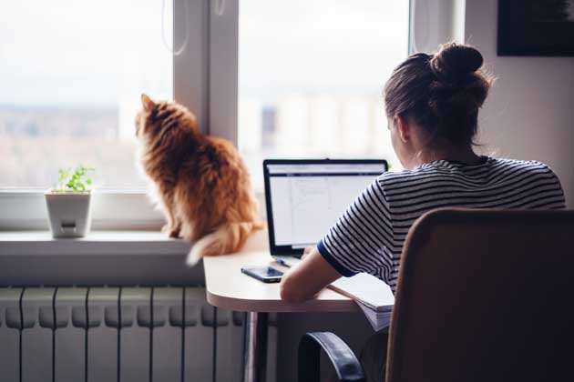 Eine Frau sitzt im Home-Office am Laptop, während ihre Katze auf der Fensterbank sitzt und aus dem Fenster guckt.