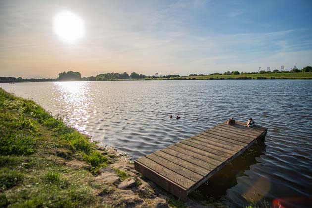 Die Sonne scheint auf den Werdersee und einen Holzsteg mit Enten in Bremen.