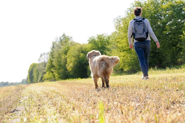Eine Frau geht mit ihrem Hund über ein Feld, das von Bäumen umrandet ist, spazieren.