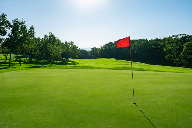 Das Loch auf einem Golfplatz mit wunderschönem grünen Gras und Bäumen im Sonnenschein ist durch eine rote Fahne markiert.