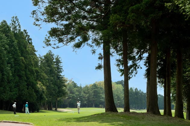 Mehrere Menschen in der Ferne stehen neben Bäumen auf einem Golfplatz und spielen Golf.