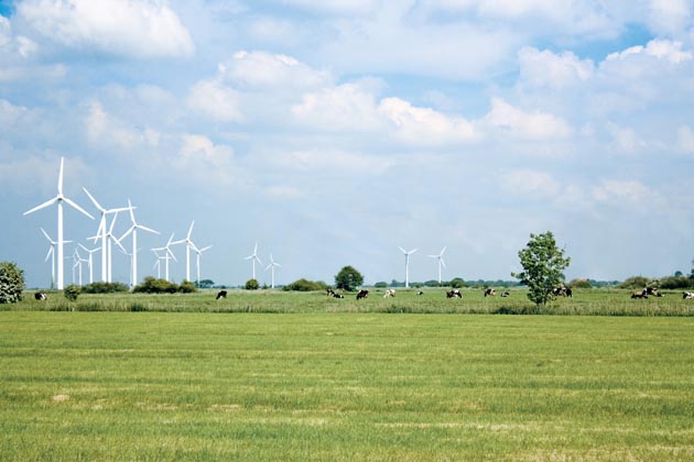 Im Hintergrund von grünen Wiesen stehen einige Kühe und Windkraftanlagen.