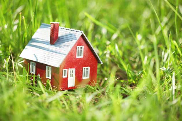 Ein winziges rotes Haus mit hellem Dach und weißen Fensterrahmen steht zwischen vielen grünen Grashalmen.